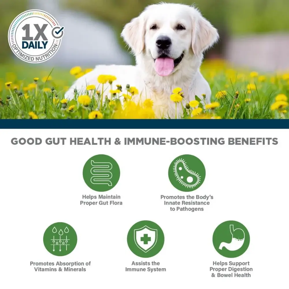 Veterinary Formula Clinical Care - Complete Probiotic 30 Chews - 3.webp