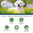 Veterinary Formula Clinical Care - Complete Probiotic 30 Chews - 3.webp
