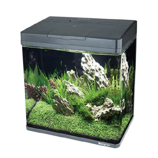 Boyu MS-220 All In One Aquarium Fish Tank 8L 2.webp