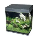 Boyu MS-220 All In One Aquarium Fish Tank 8L 2.webp