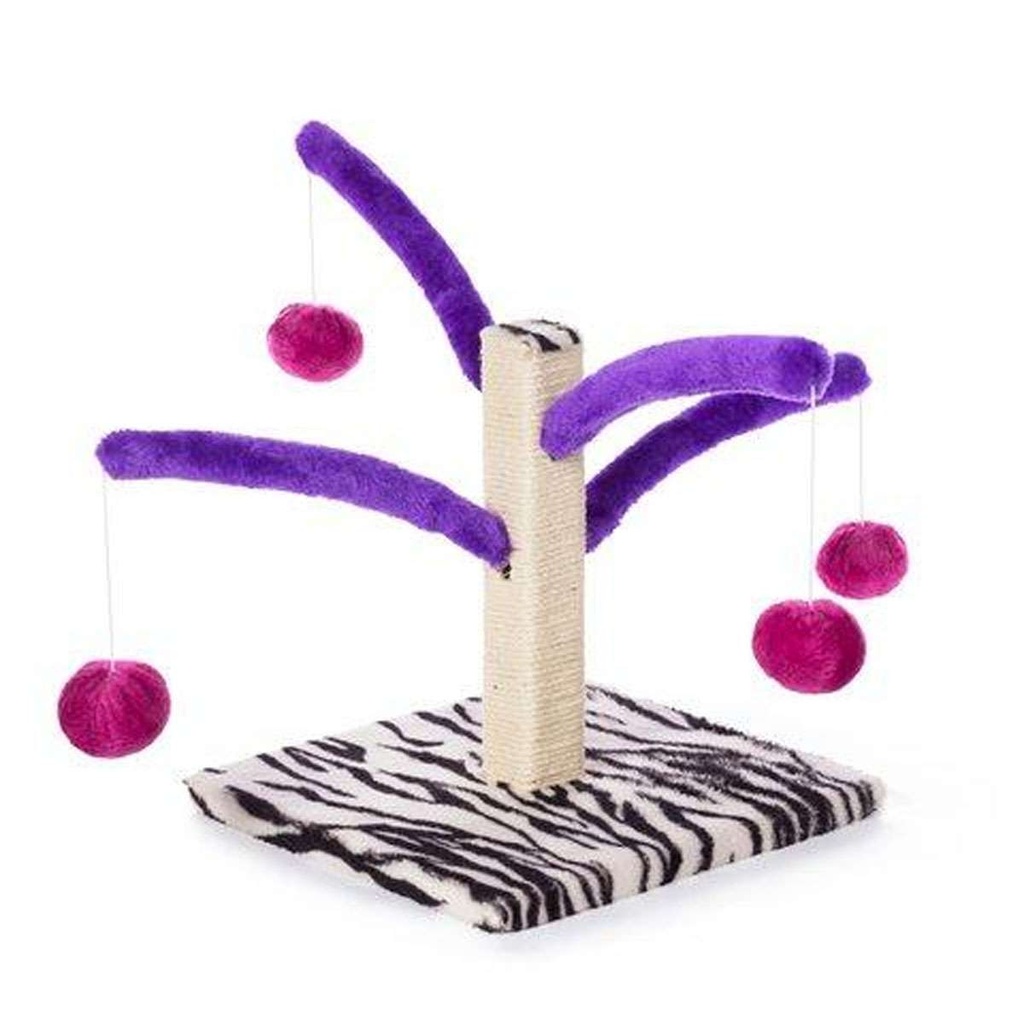 Prevue Bounce 'n Spring Scratch