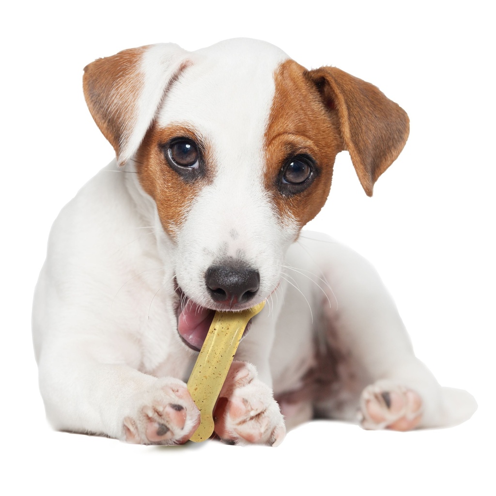 Nylabone Strong Bone Chicken