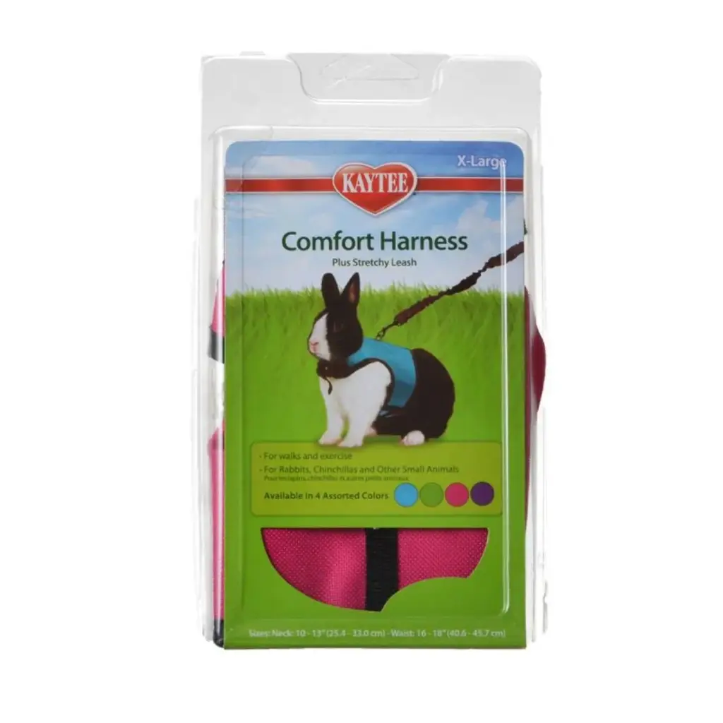 Comfort Harness & Leash XL