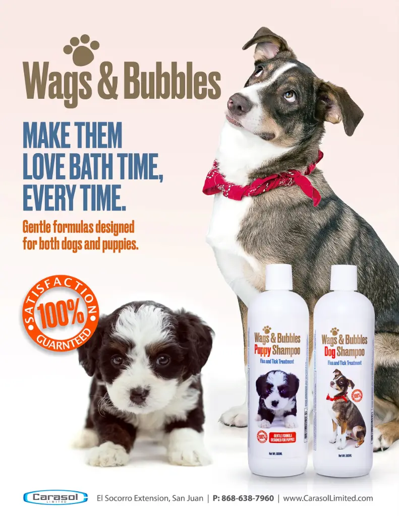 Wags & Bubbles Flea & Tick Dog Shampoo 500ml