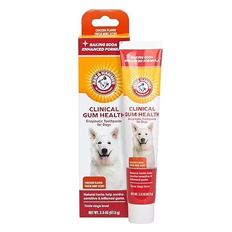 Arm & Hammer Clinical Gum Health Enzymatic Toothpaste For Dogs 2.5oz - Chicken Flavour