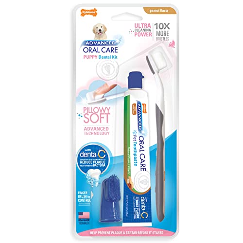 Nylabone Advanced Oral Care Puppy Pillowy Soft Dental Kit - Peanut Flavour