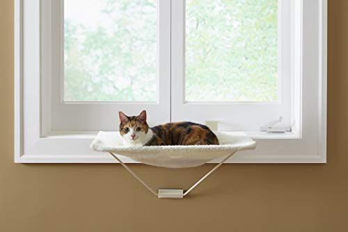 Prevue Tabby Napper