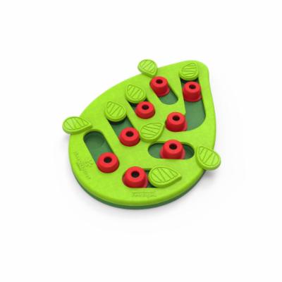 Outward Hound Buggin Out Puzzle & Play