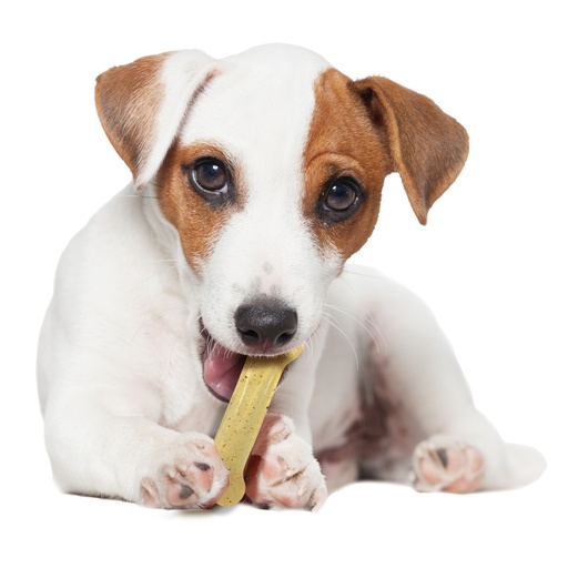 Nylabone Strong Bone Chicken