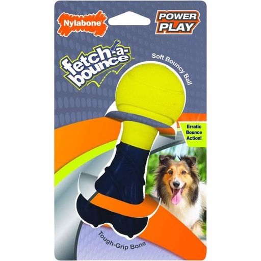 Nylabone Power Play - Fetch-A-Bounce